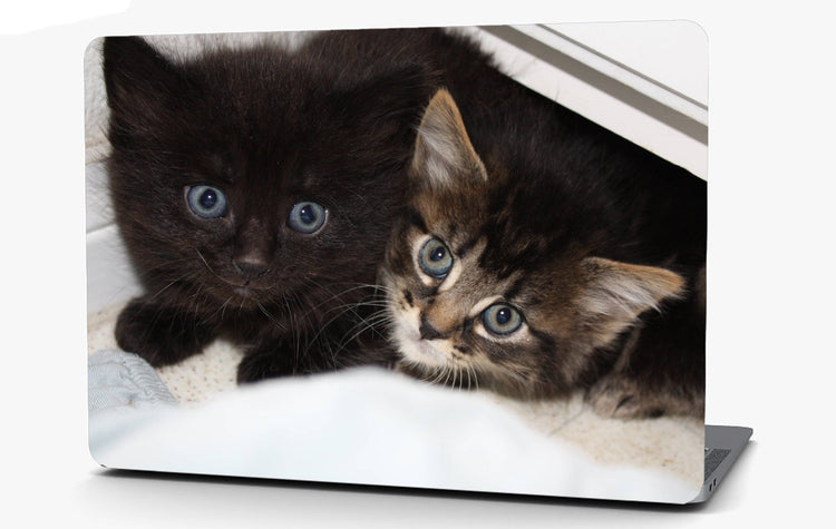 Two Kittens Vinyl Laptop Computer Skin Sticker Decal Wrap Macbook Various Sizes