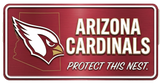 NFL License Plates