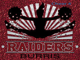 2025 (Navarre Highschool) Navarre Raiders Yard Sign (Fundraiser)