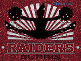2026 (Navarre Highschool) Navarre Raiders Yard Sign (Fundraiser)