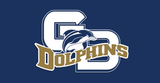 Gulf Breeze Dolphins License Plates