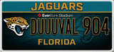 NFL License Plates