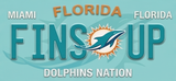NFL License Plates