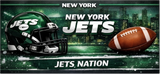NFL License Plates