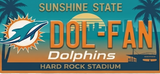 NFL License Plates
