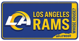 NFL License Plates