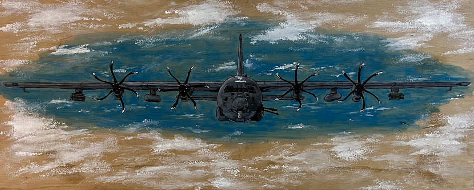 Painted Gunship