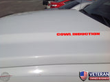 Cowl Induction Hood decals Chevrolet Silverado GMC Sierra Avalanche Ford Dodge