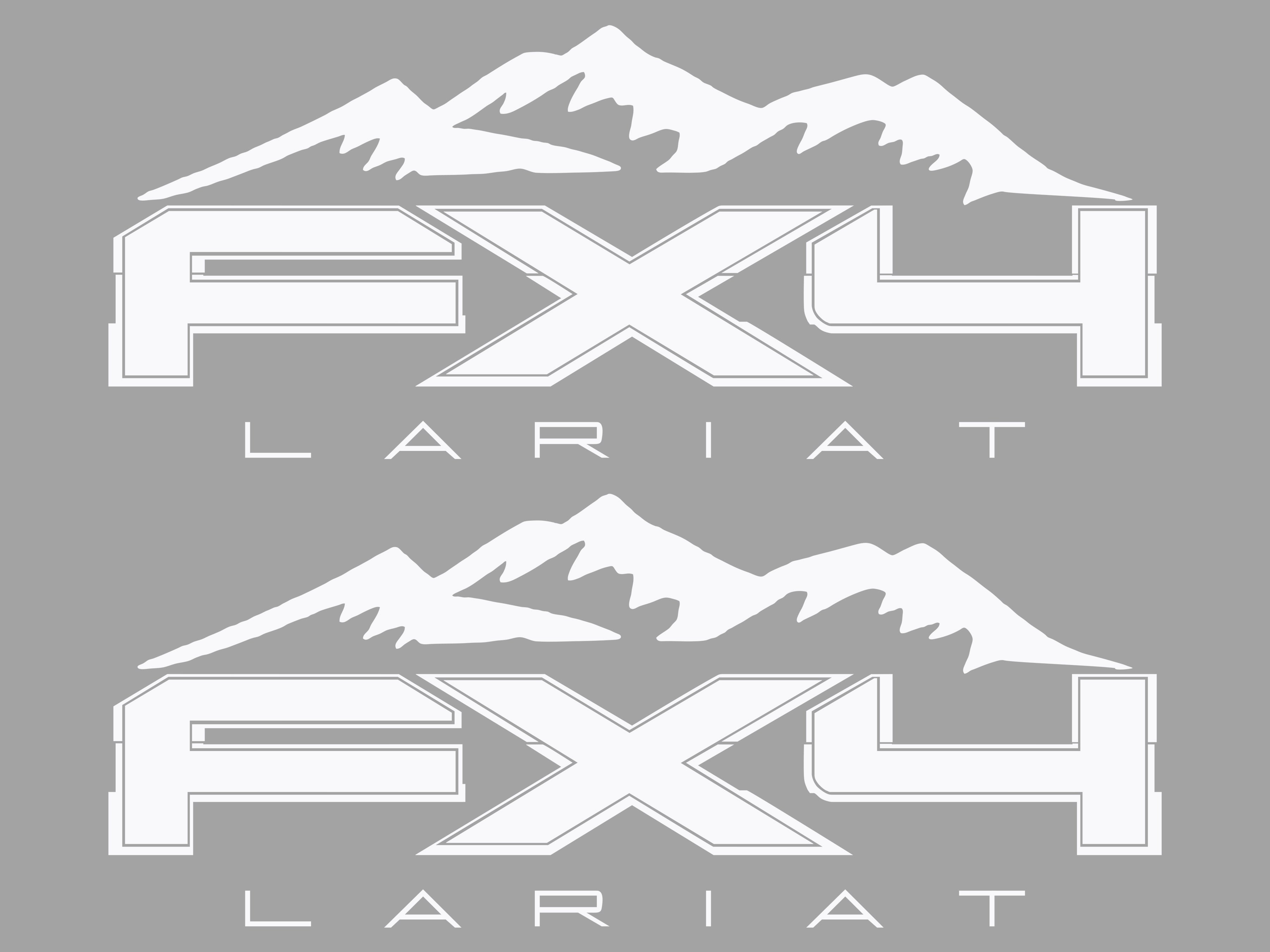  FX4 Lariat Vinyl Decal