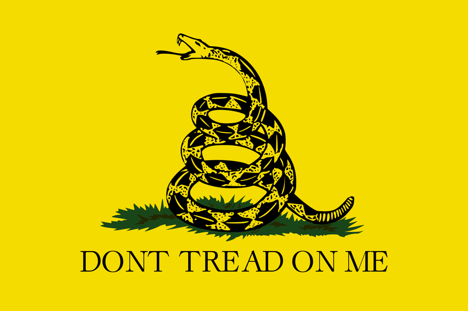 Gadsden Flag Universal RV Camper or 5th Wheel Window 50/50 Perforated Vinyl Decal