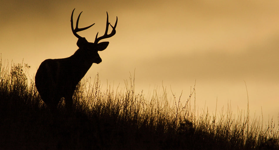 Deer Hunter at Sunset Universal RV Camper or 5th Wheel Window 50/50 Perforated Vinyl Decal