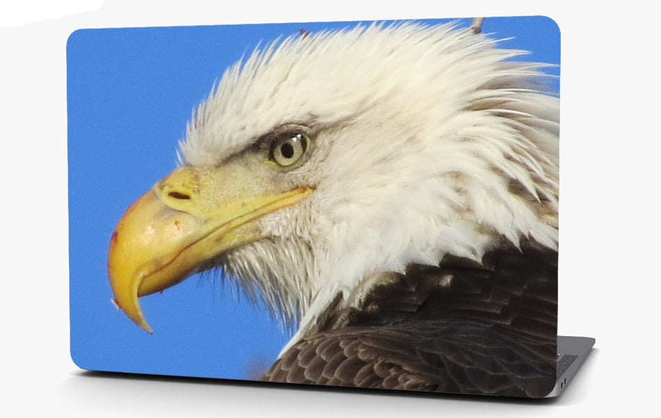 Bald Eagle Vinyl Laptop Computer Skin Sticker Decal Wrap Macbook Various Sizes