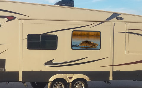 Duck on the Lake Universal RV Camper or 5th Wheel Window 50/50 Perforated Vinyl Decal