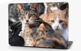 Cats Vinyl Laptop Computer Skin Sticker Decal Wrap Macbook Various Sizes
