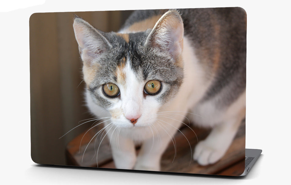 Tabby Cat Vinyl Laptop Computer Skin Sticker Decal Wrap Macbook Various Sizes