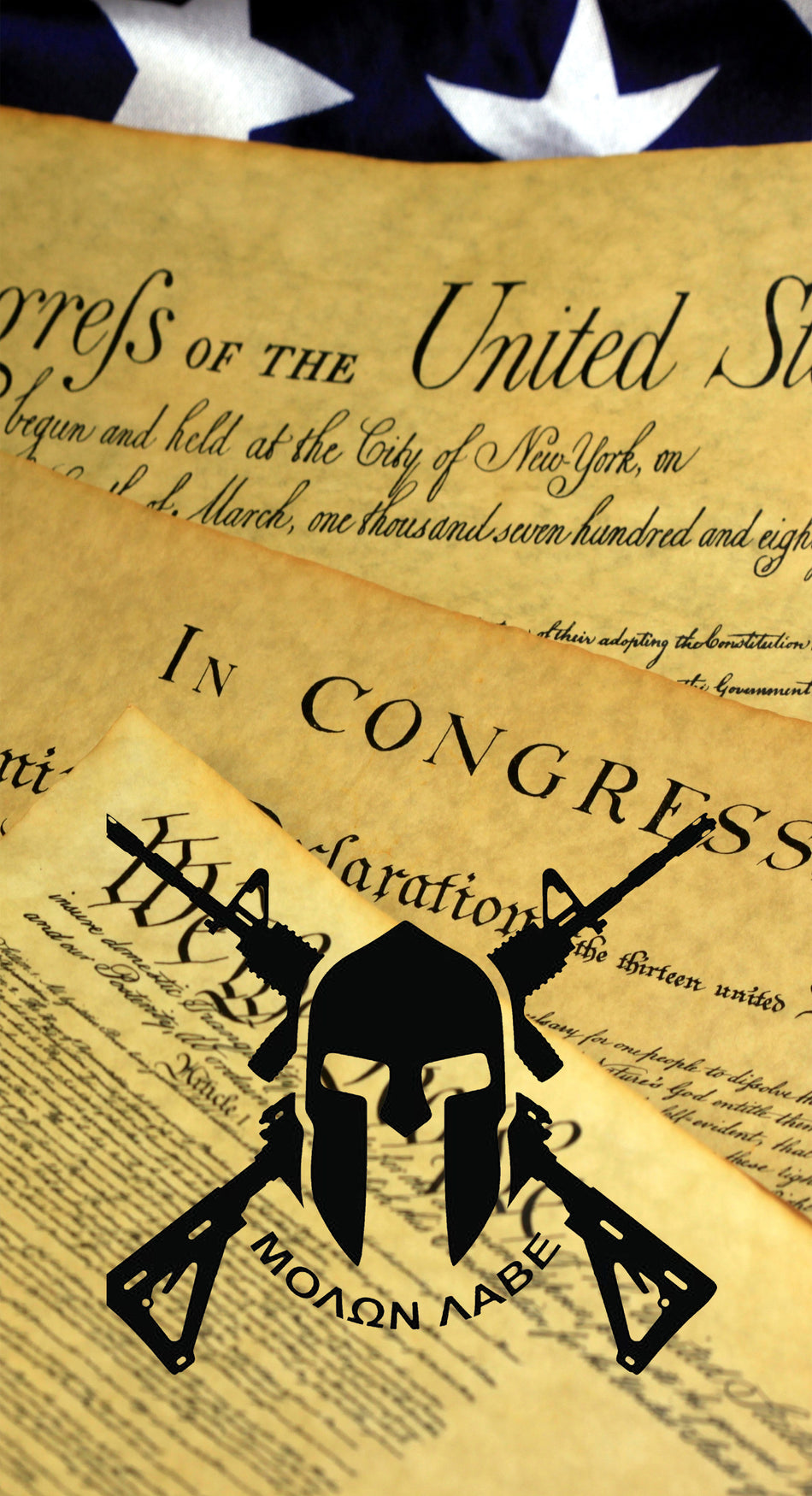 2x Molon Labe US Constitution Cornhole Board Bag Toss Wrap Set-Universal Fit 2A