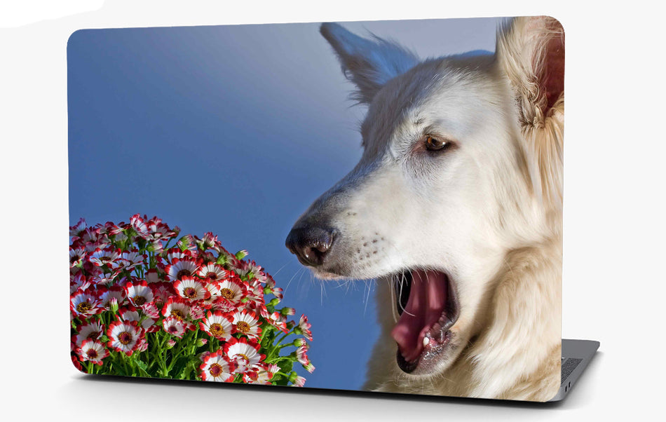 Surprised Dog Laptop Computer Skin Sticker Decal Wrap Macbook Various Sizes