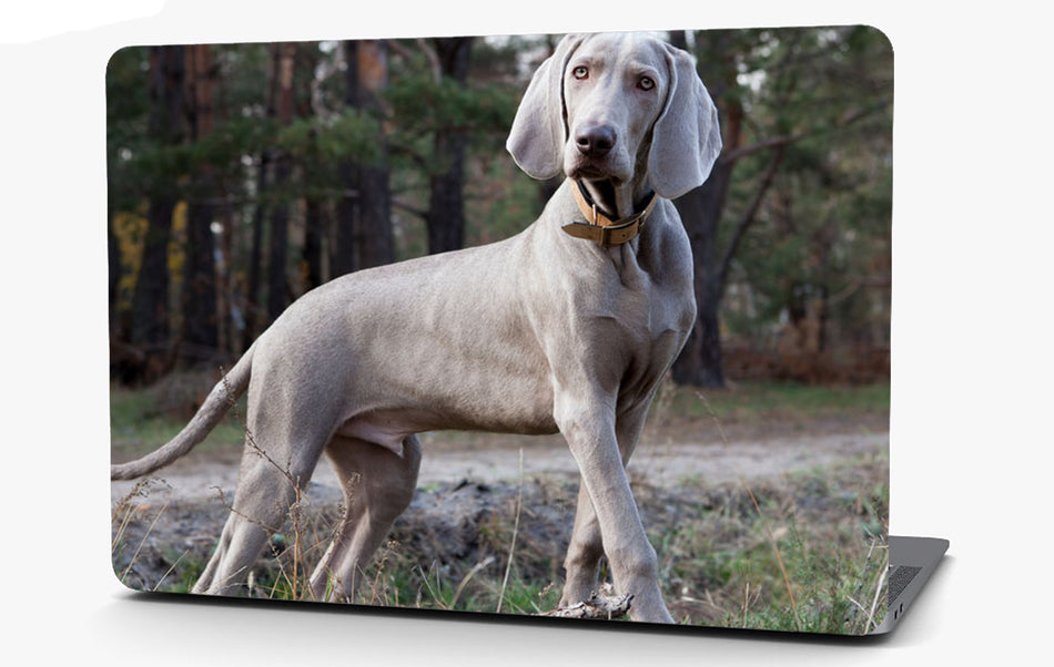 Weimaraner Dog Vinyl Laptop Computer Skin Sticker Decal Wrap Macbook Various Sizes