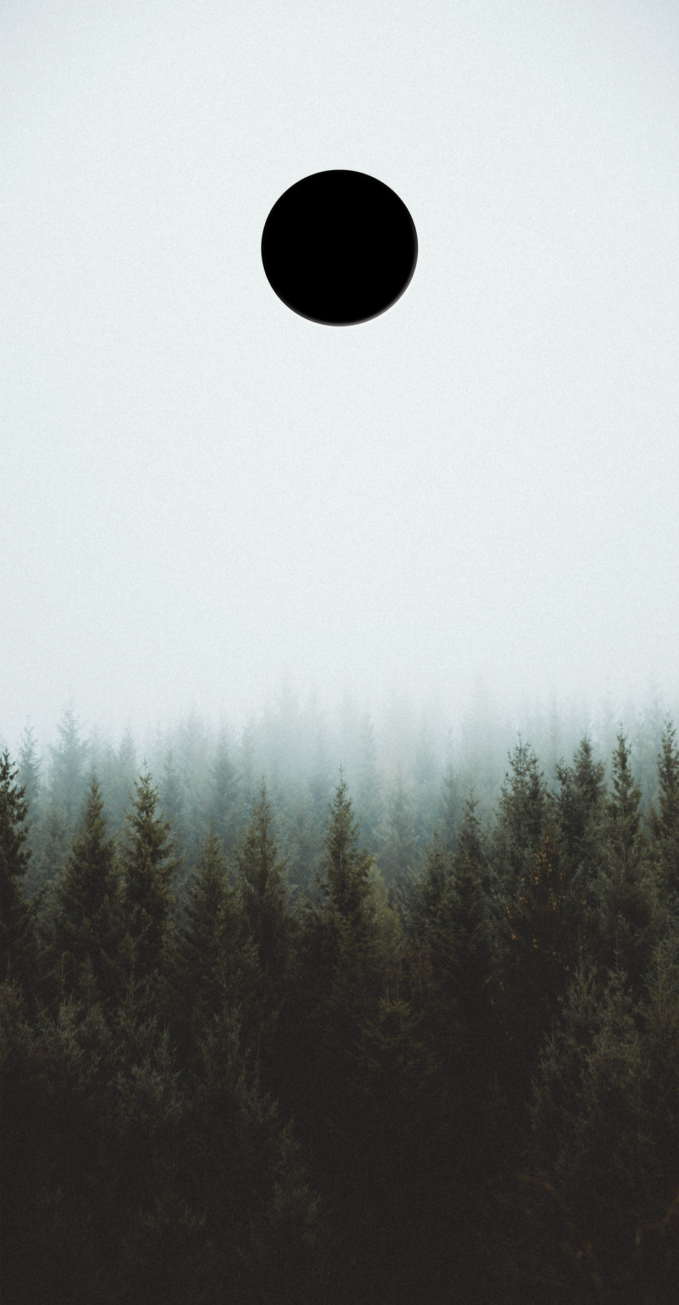 Forrest Custom Vinyl Cornhole Wrap