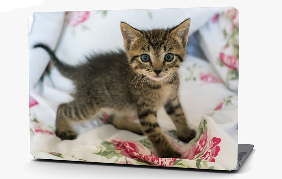 Kitten on a Blanket Vinyl Laptop Computer Skin Sticker Decal Wrap Macbook Various Sizes