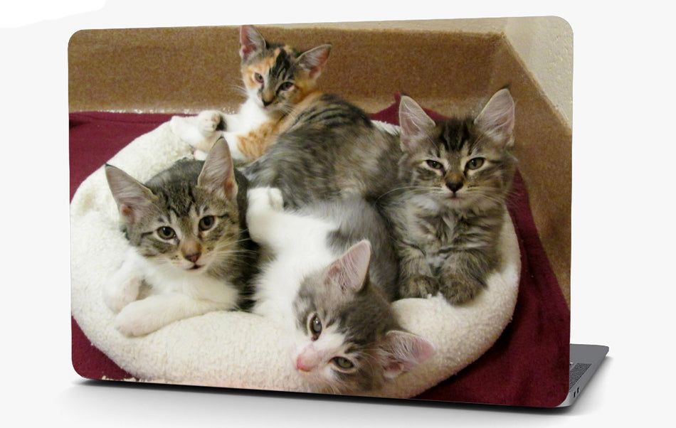 Kittens in a Basket Vinyl Laptop Computer Skin Sticker Decal Wrap Macbook Various Sizes