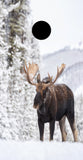 Moose in Winter Custom Cornhole Vinyl Wrap