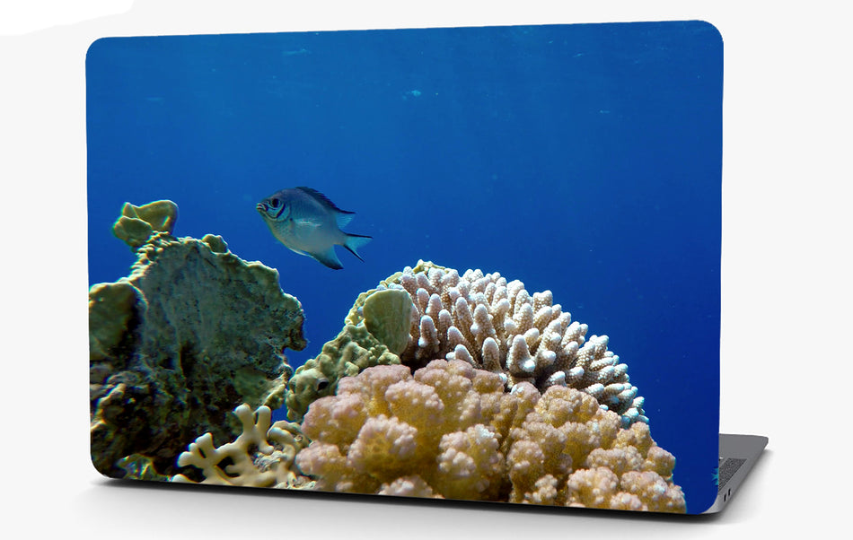 Coral Reef Fish Vinyl Laptop Computer Skin Sticker Decal Wrap Macbook Various Sizes
