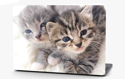 Sister kittens Vinyl Laptop Computer Skin Sticker Decal Wrap Macbook Various Sizes
