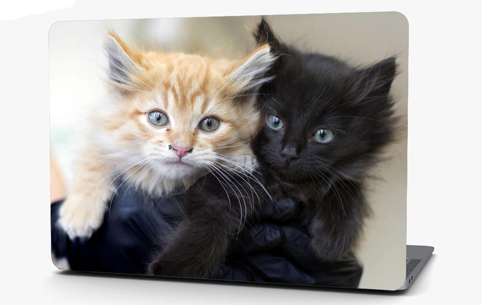 Two Kittens Vinyl Laptop Computer Skin Sticker Decal Wrap Macbook Various Sizes